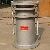 CS熱力管道伸縮器